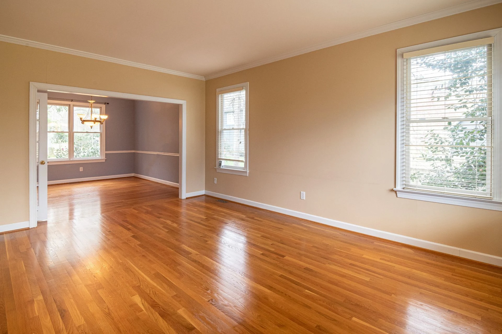 Interior Painting Services